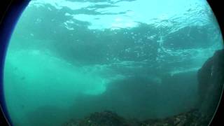shallow reef breaking wave