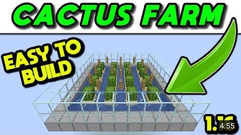 EASIEST Automatic AFK Cactus Farm Tutorial (Java & Bedrock) - Minecraft 1.17