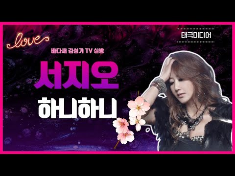 서지오 ~  하니하니    바다새 김성기TV 유튜브 실방