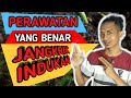 Jangkrik Indukan Cepat Bertelur