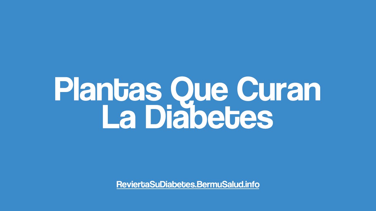 Plantas Que Curan La Diabetes Cura Para La Diabetes Youtube