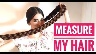 Measure the THICKNESS of my hair ( braid, hair bun, ponytail ) - GROW LONG HAIR