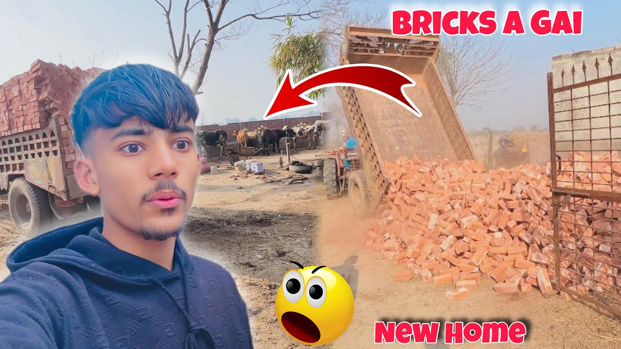 Bricks 🧱 A Gai New Home Bana Rahy Hm 😄🥰 /Abdullah Jutt/