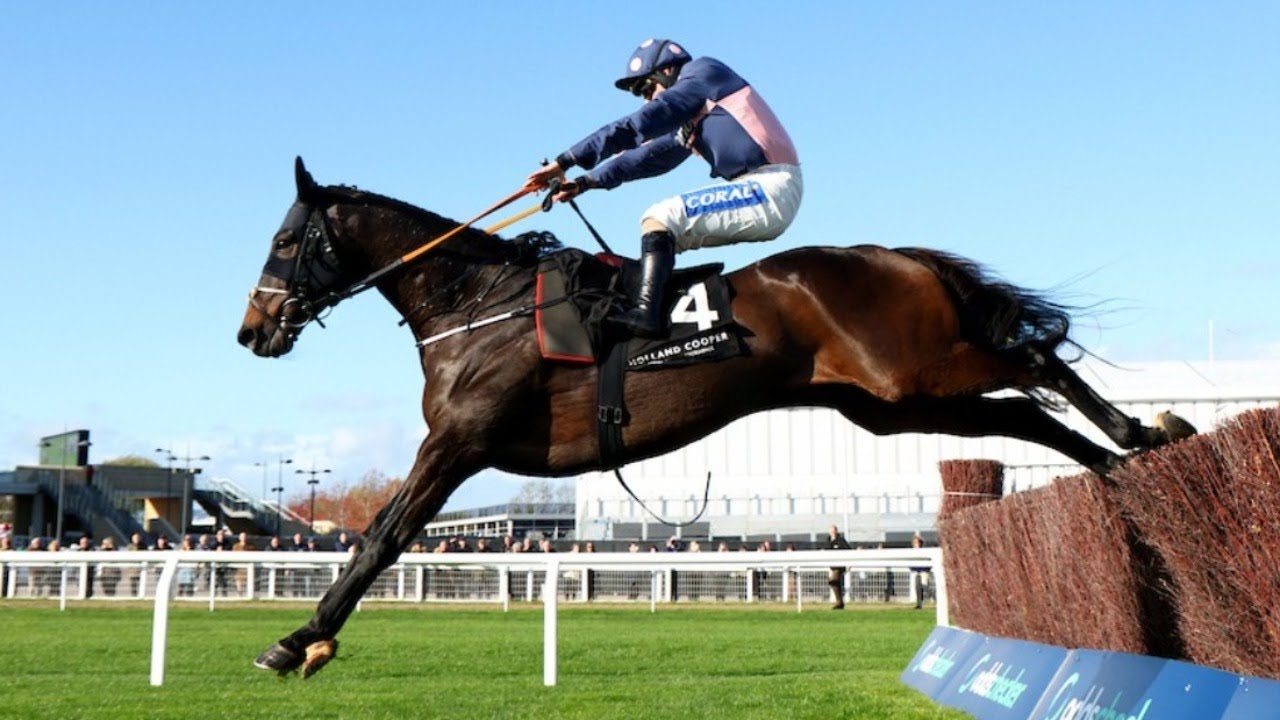 "Exciting" Alnilam looks a two-miler chaser to follow | Racing TV