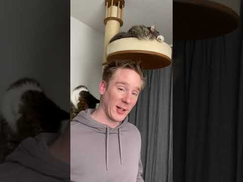 Katzenfotograf Nils Jacobi (Furry Fritz) testet den Litter-Robot: Seine ehrliche Meinung