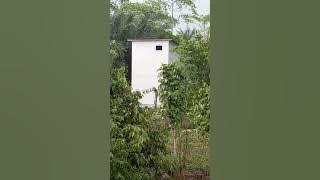 sp bikin onar streo sp akau 22 birahi,Alhamdulilla respon mantap(@syambangcang)