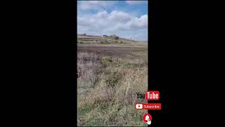 İsmek Arıcılık Kursu İstanbul