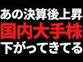 あの独自路線で利益を伸ばし、今期も２桁増益決算で買われた大手株が下落