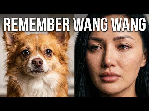 Remember Wang Wang "a brave loving sweet stray dog mum" - Wang Wang’s story must never be forgotten