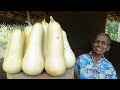 Healthy Village Food ❤ Cooking Butternut Squash Curry in my Village by Grandma