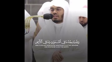 أولم يروا إلى ما خلق الله من شيء يتفيؤ ظلاله 📖 وتلاوة متأثرة للشيخ. ياسر الدوسري 🤗 من تراويح الحرم 🕋