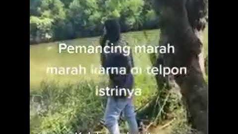 #Shorts GARA GARA MANCING ISTRI MINTA CERAI status wa mancing