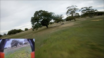 SHARKBYTE 2 FIRST FLIGHT 5" Freestyle (with dvr and gopro footage)