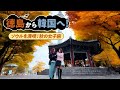 【徳島－韓国】直行便で秋旅✈「ソウルを満喫！秋の女子旅」篇