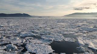 Pale Sunlight - Winter Dreams