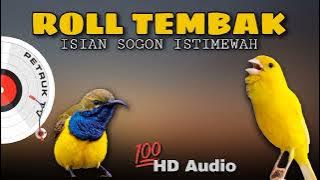 Sogon Isian Kenari Mewah ‼️ Ngerol Panjang