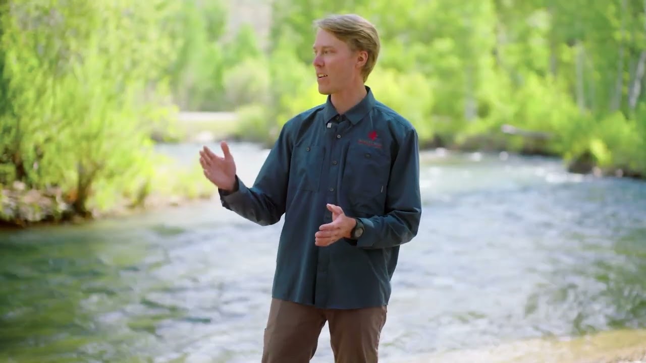 Visual Water Report: June 2025