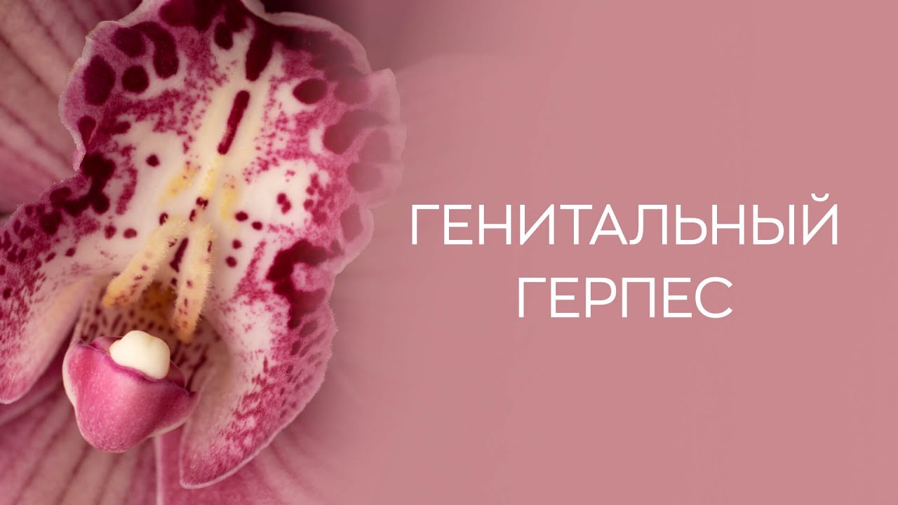 Герпес На Губе Можно Заниматься Сексом