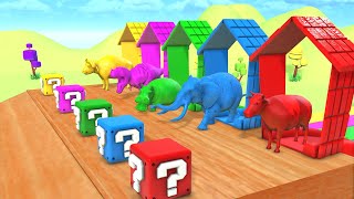 Wild Animals Gameplay | Guess The Right Cage Challenge #1 | Funny Animal Animation Matching Game