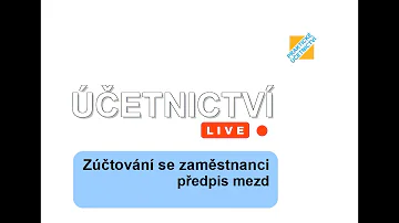 Co zaměstnavatel platí za pracovní sílu?