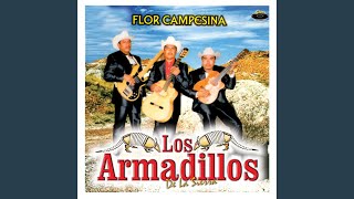 Video thumbnail of "Los Armadillos de la Sierra - Elenita"
