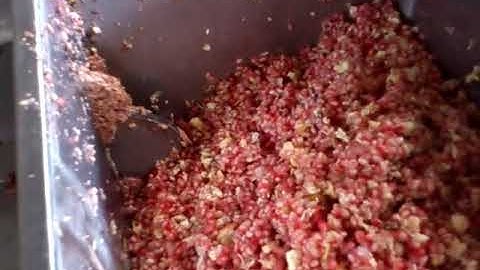 Pomegranate Fruit Processing Line