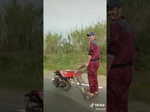 برويطور