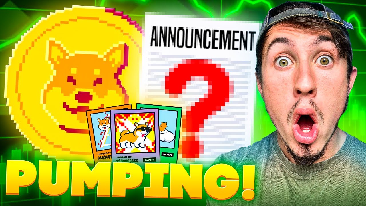 Meme Coins Rising With Dogecoin Price? Shiba Inu, Tamadoge, FLOKI