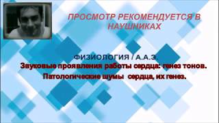 Звуковые проявления работы сердца  Генез тонов и шумов  Амамчян А Э