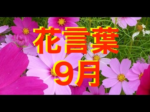 365 365
