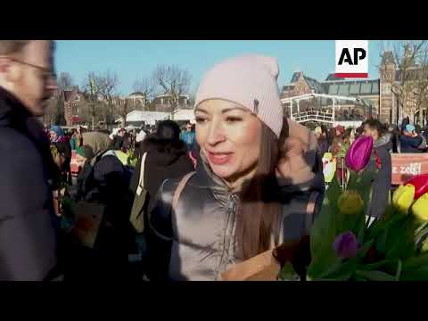 Amsterdam hosts National Tulip Day