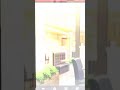 夢いっぱい!フラワーブライダル 伊達1 伊達京也 ときめきレストラン