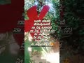 ಒಂದೇ ಮಾತಲಿ ಹೇಳುವುದಾದರೆ ನಾ ನಿನ್ನ ಪ್ರೀತಿಸುವೆ ❤️😍#kannadasong#love#lyrics