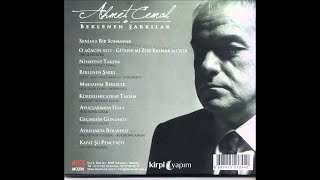 Ahmet Cemal - Seninle Bir Sonbahar Resimi