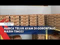 Harga telur ayam di kota gorontalo masih tinggi