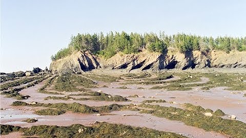 1. Introduction to Stereographic Projection (Inkscape version)