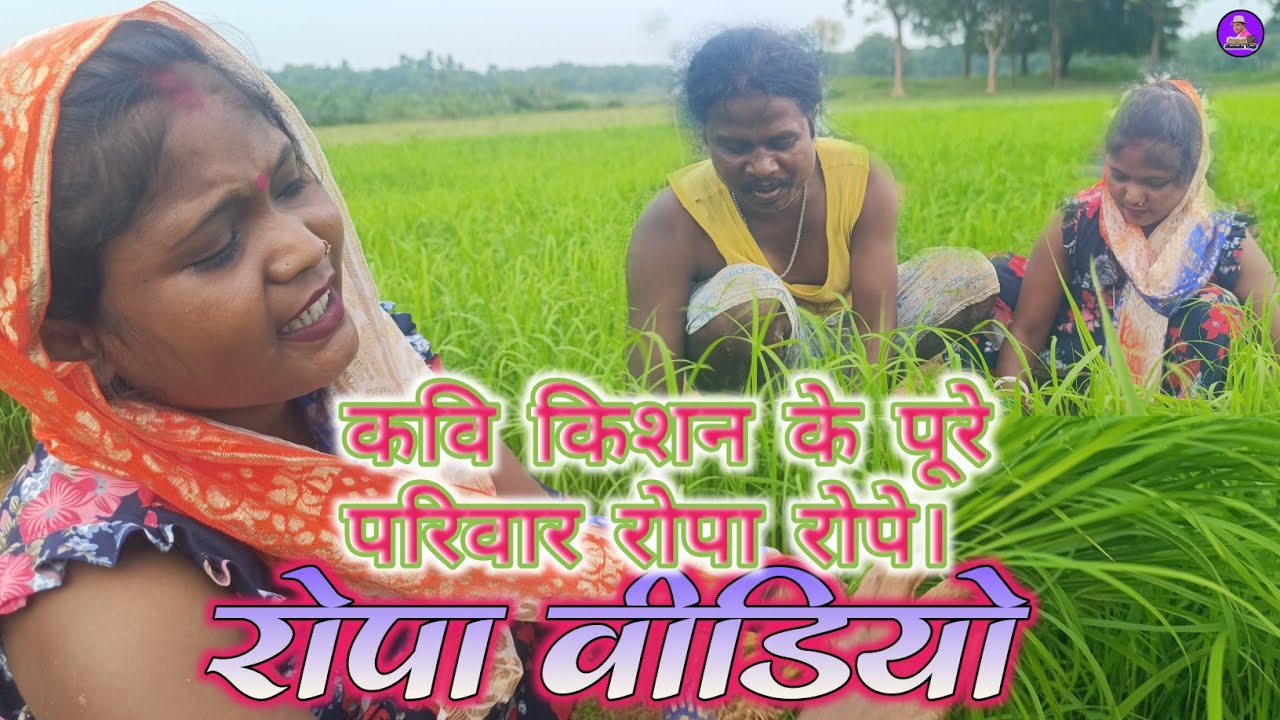 कवि किशन भैया जी के पूरे परिवार रोपा रोपे।साथ ही साथ गाना भी गाए। #kavikishan  #brajeshdhamaka 