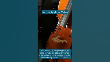 Strings are made out of WHAT?? #stringplayer #music #celloplayer #funfacts