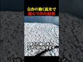 流氷の上でテントサウナ