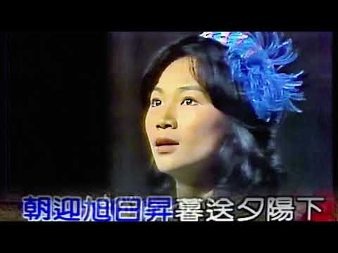 我是一片雲(二)-鳳飛飛-(伴奏+演唱)