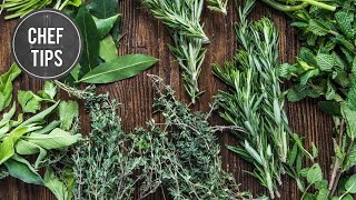 Herb Garden