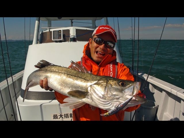 東京湾・冬デカシーバスwithスカイロード!!!! - YouTube