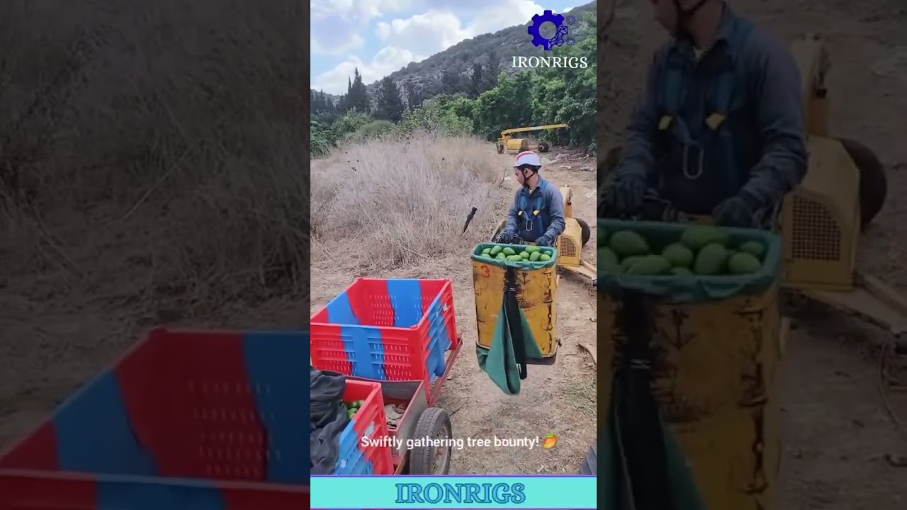 Wild machines climb high to grab fruit! 🤯 