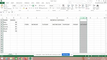 CLASS 6, CH-6 Microsoft Excel 2007(I.T) VIDEO-3