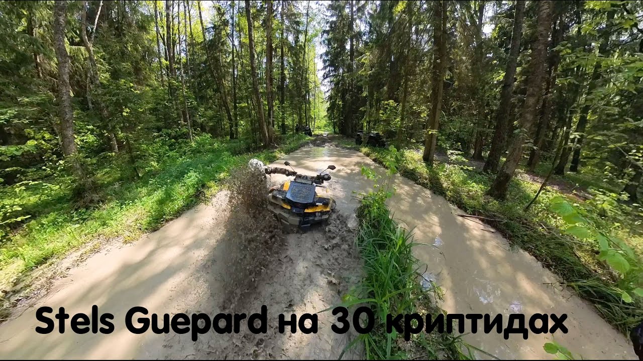 Stels Guepard на 30 криптидах. Крутая грязевая катка 🔥🔥🔥 Сравниваем ...