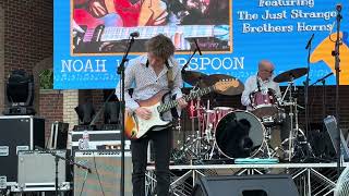 Noah Wotherspoon Band featuring the Just Strange Brothers As The Years Go Passing By