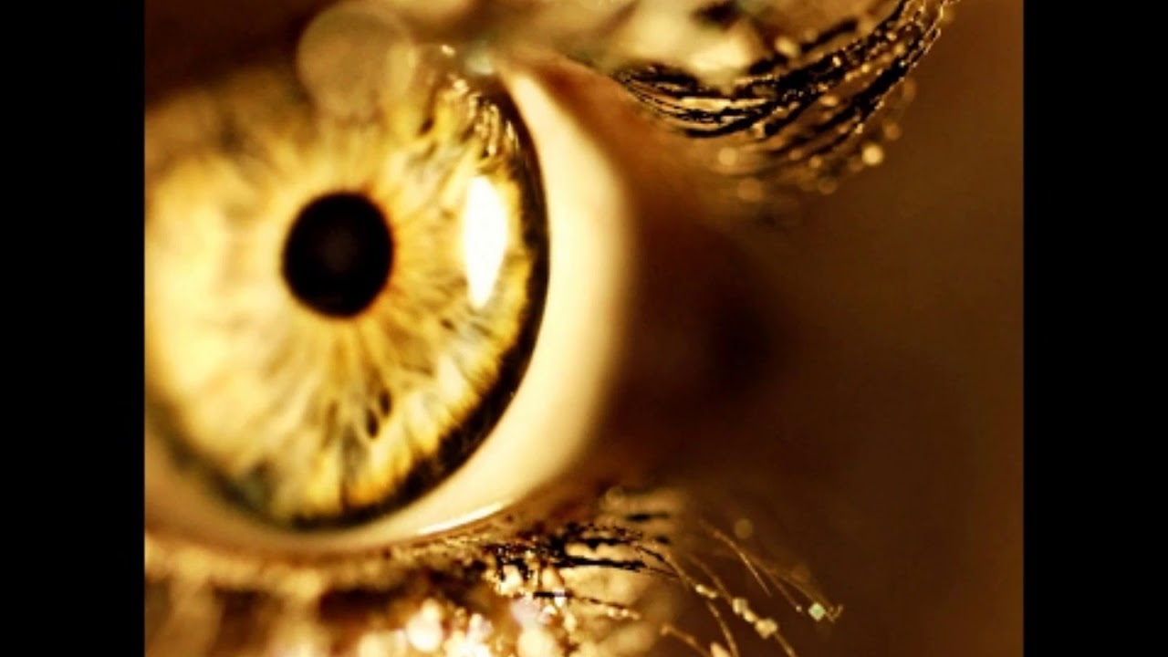 Золотые глаза 6. Золотые глаза. Золотистые глаза. Желтые глаза. Золотистый цвет глаз.