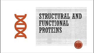 Structural and Functional Proteins