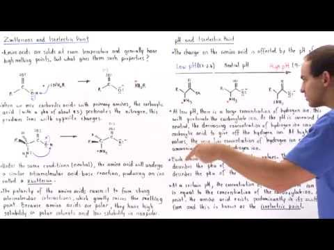 Video: Welke van de bovenstaande is een zwitterionische vorm?
