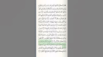 مجید قرآن سوره بقره | آیات 208-210 | #قرآن | #بقره | #شلوارک | #اسلام